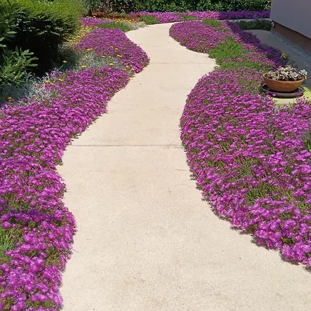 Appartement Casa Fiorita Poreč