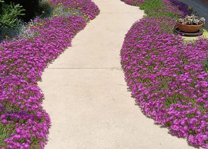 Apartment Casa Fiorita Poreč